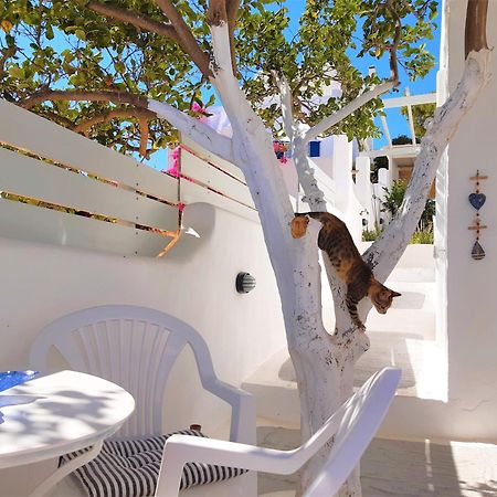 Lemon Tree Maisonette - Naoussa Paros Bagian luar foto