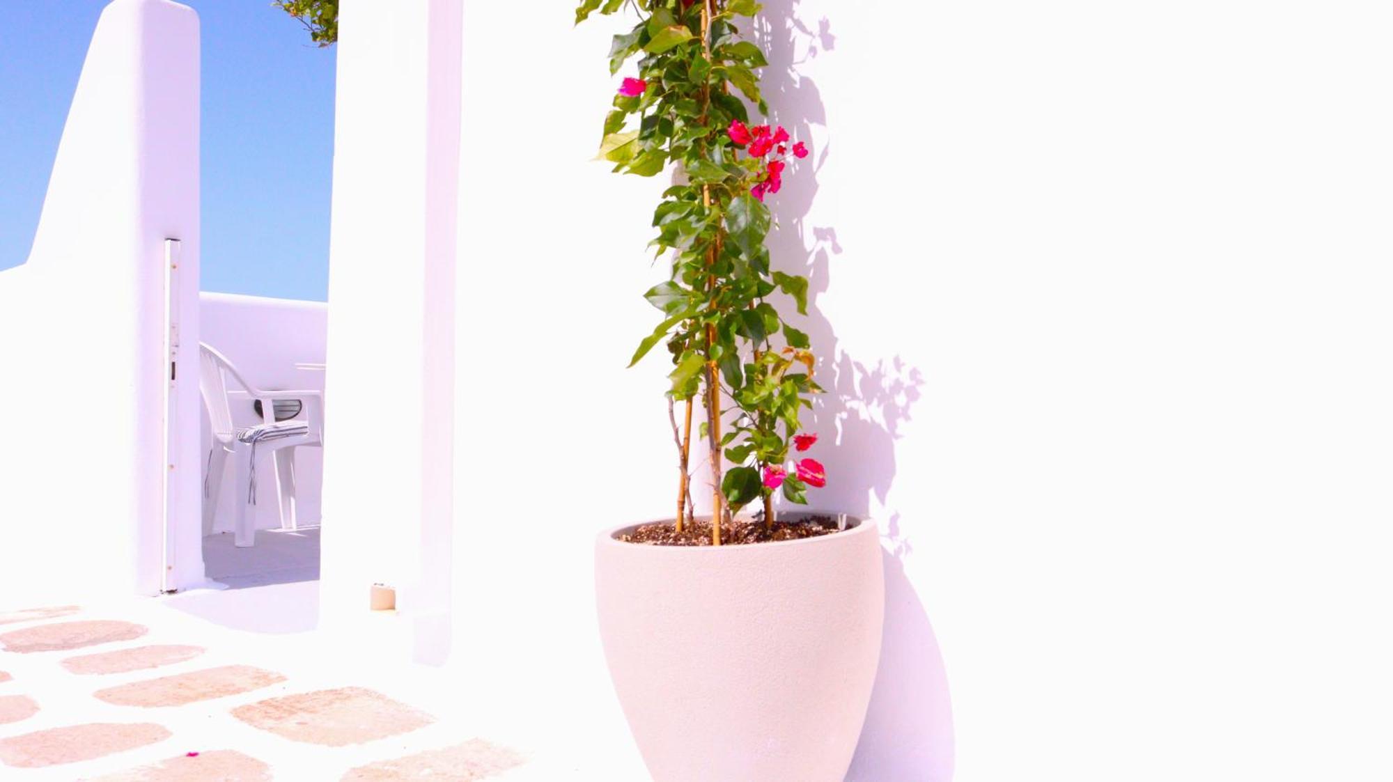 Lemon Tree Maisonette - Naoussa Paros Bagian luar foto