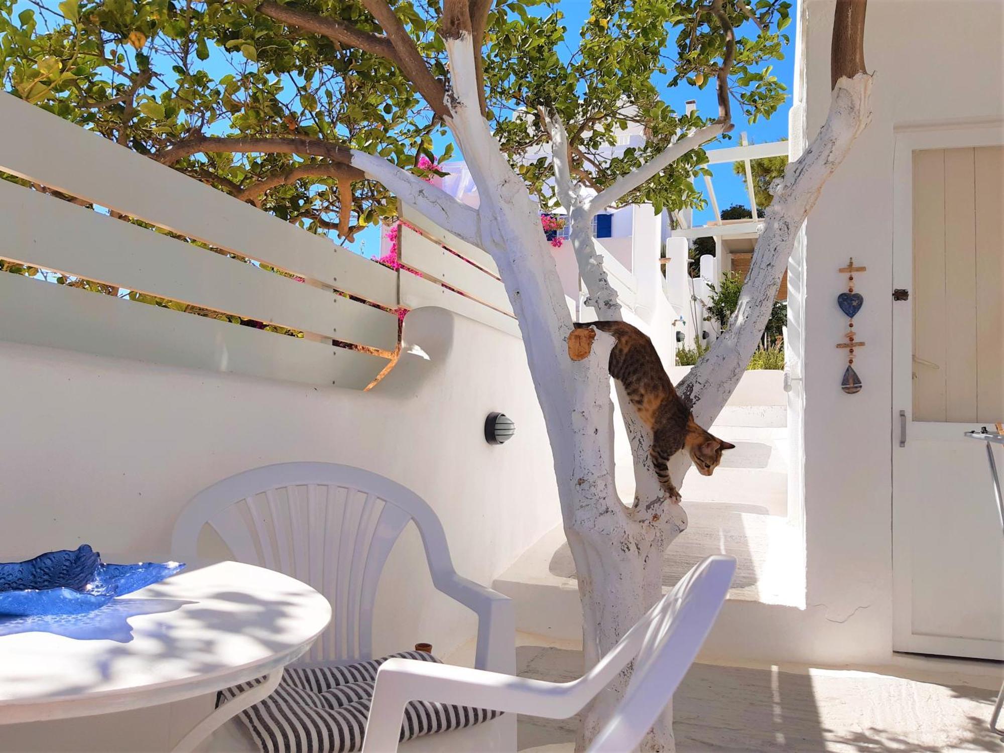 Lemon Tree Maisonette - Naoussa Paros Bagian luar foto